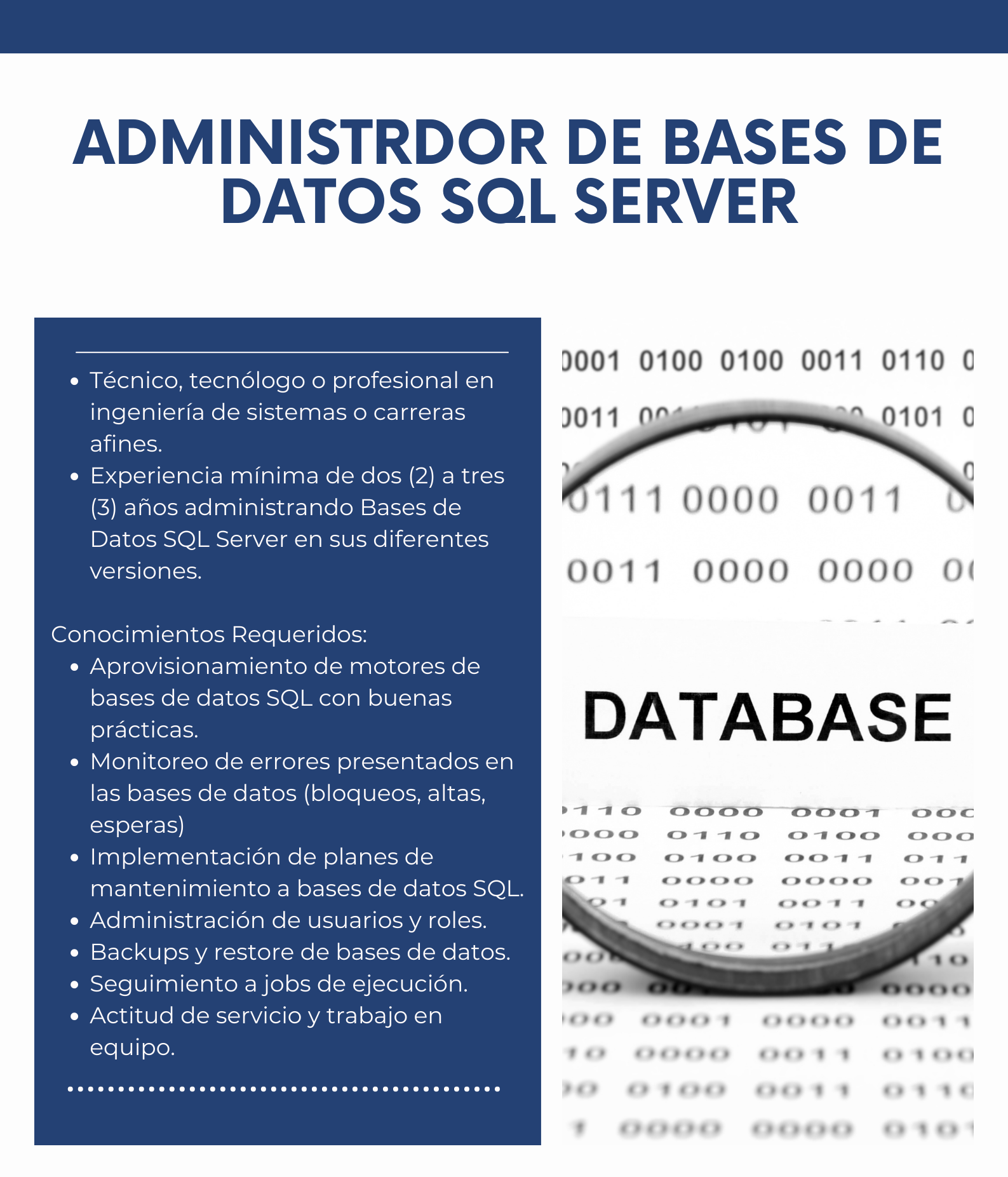 Administrador Bases de Datos